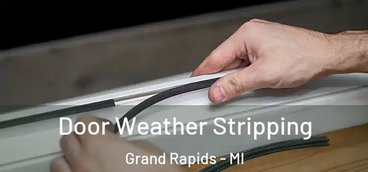 Door Weather Stripping Grand Rapids - MI
